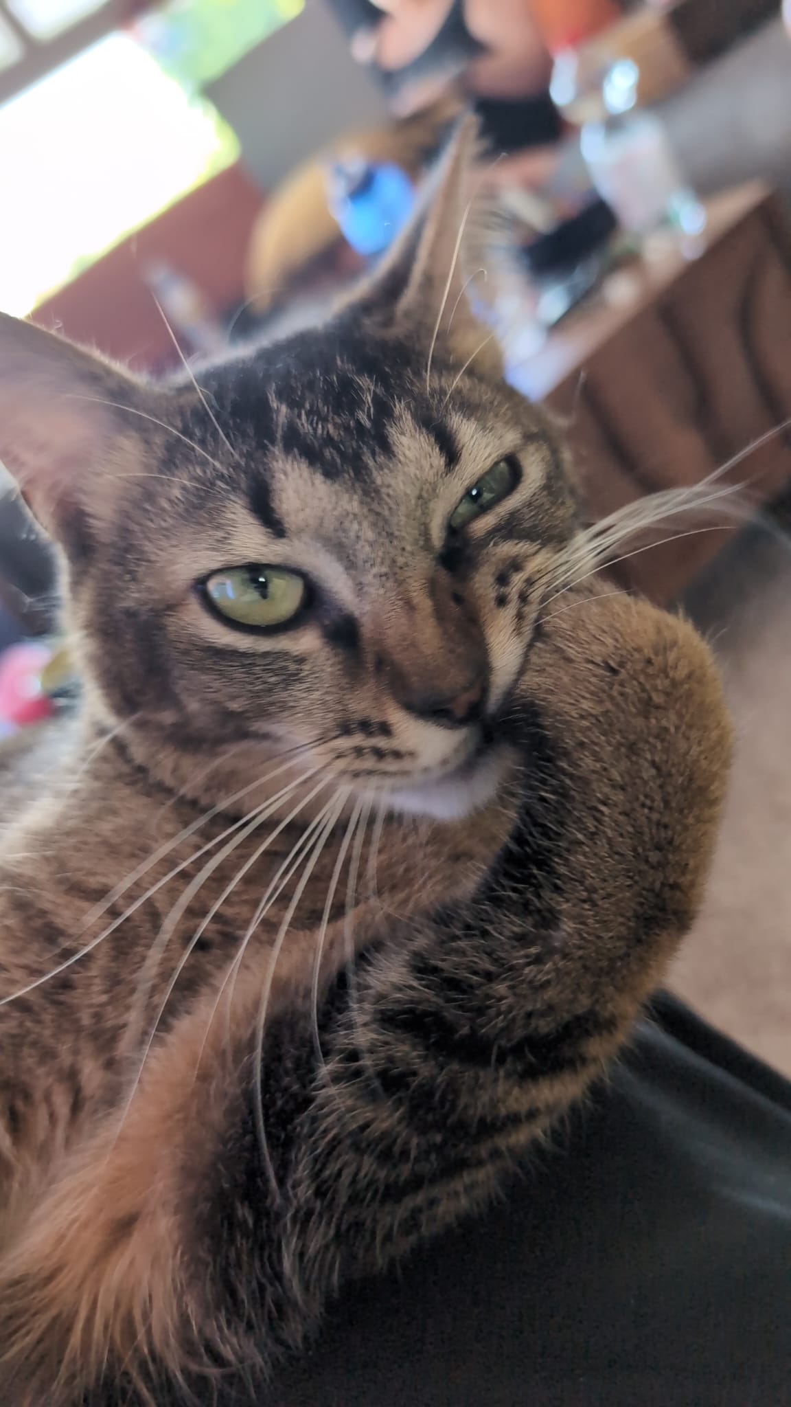 Milo